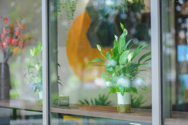 Service de dentiste d'urgence à nantes : répondre à vos besoins immédiats