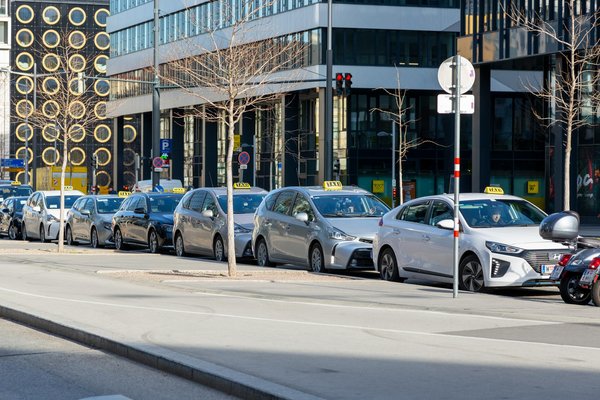 5 protections essentielles pour une assurance chien